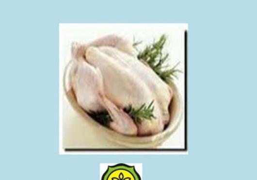 Tanya Jawab Seputar Daging Ayam Sumber Makanan Bergizi